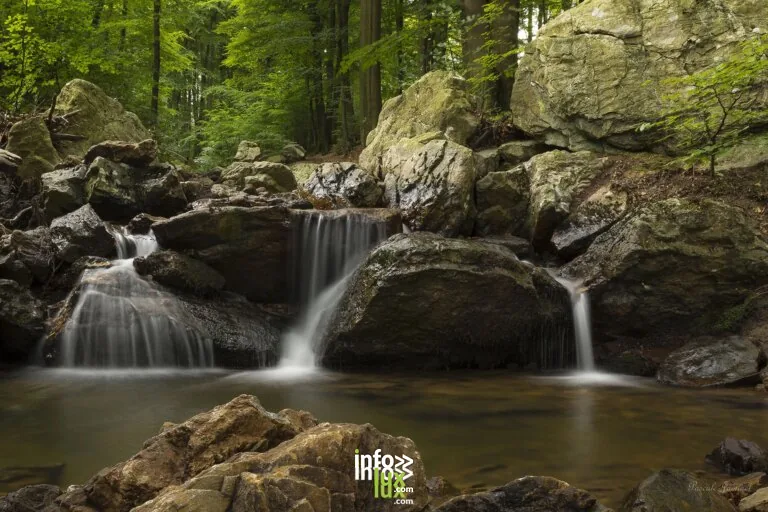 Le Parc naturel des Sources à Spa