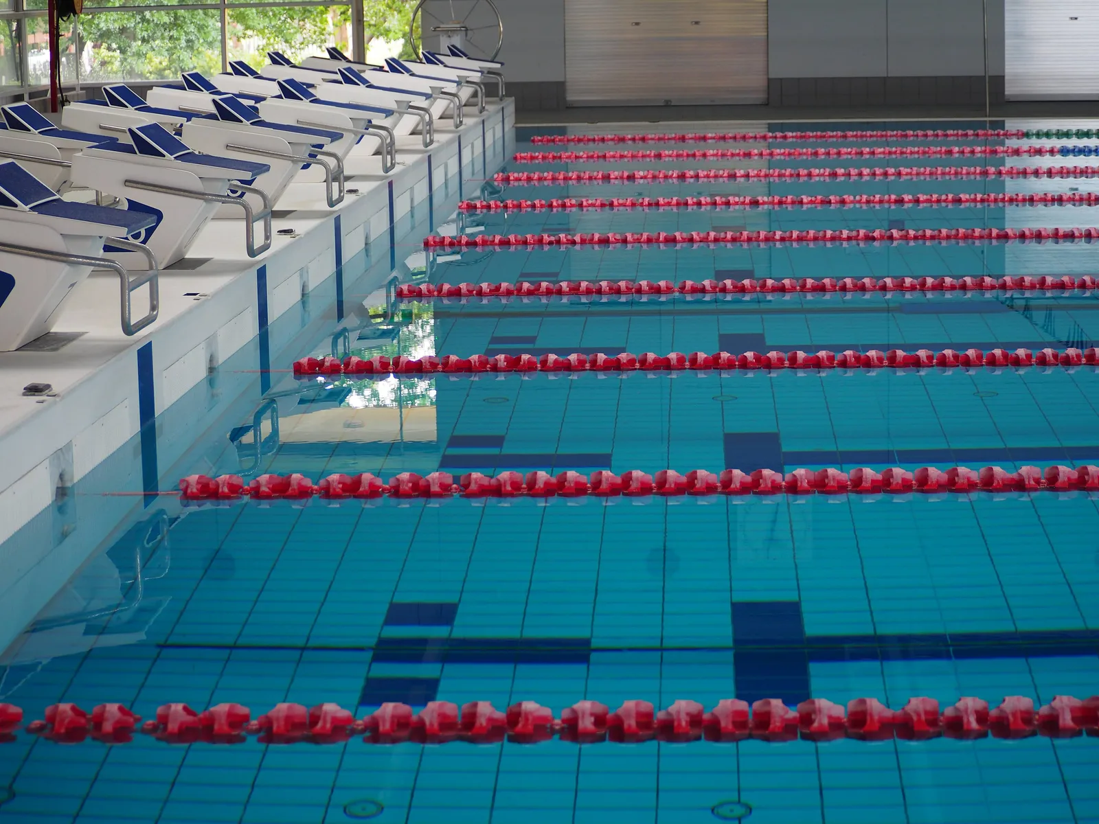 Bassin de natation avec lignes d'eau et plots de départ