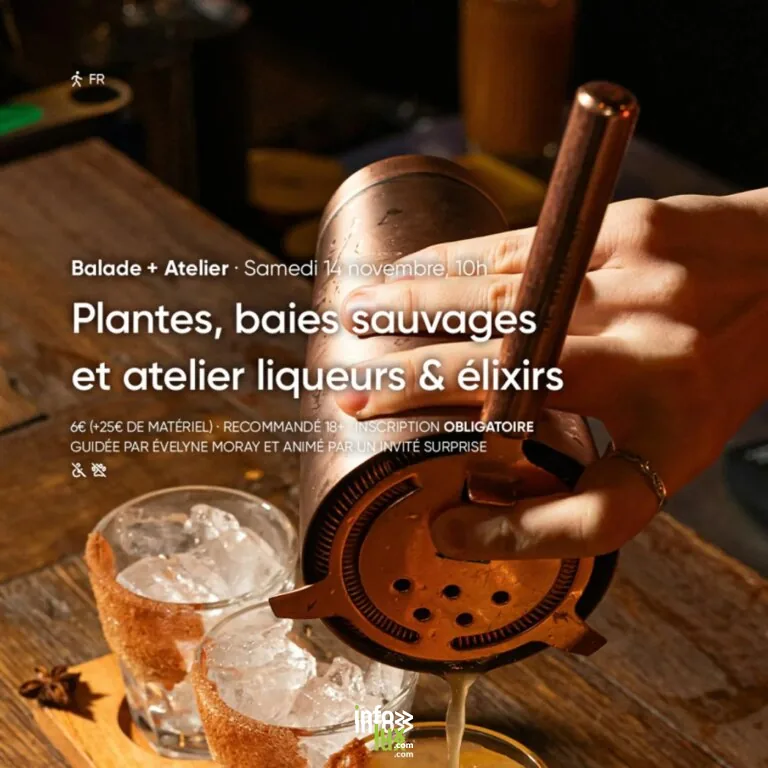 Stavelot > Balade > Plantes, Baies Sauvages et Atelier Liqueurs & Élixirs – Balade nature guidée