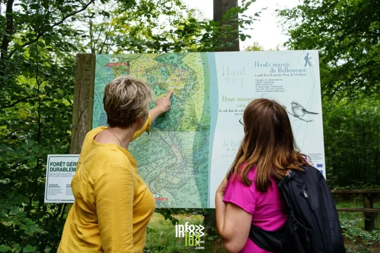 Le plateau des Tailles et les Hauts Marais de Bellemeuse à La Roche-en-Ardenne