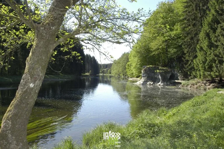 Le point de vue de la Roche Percée aux Hayons : la Semois vue d’en haut et l’histoire du gros brochet