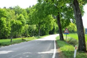 Porcheresse : Promenade du Champ du Bois à Havelange : balade en forêt — Havelange Porcheresse : Promenade du Champ du Bois à Havelange : balade en forêt — Havelange