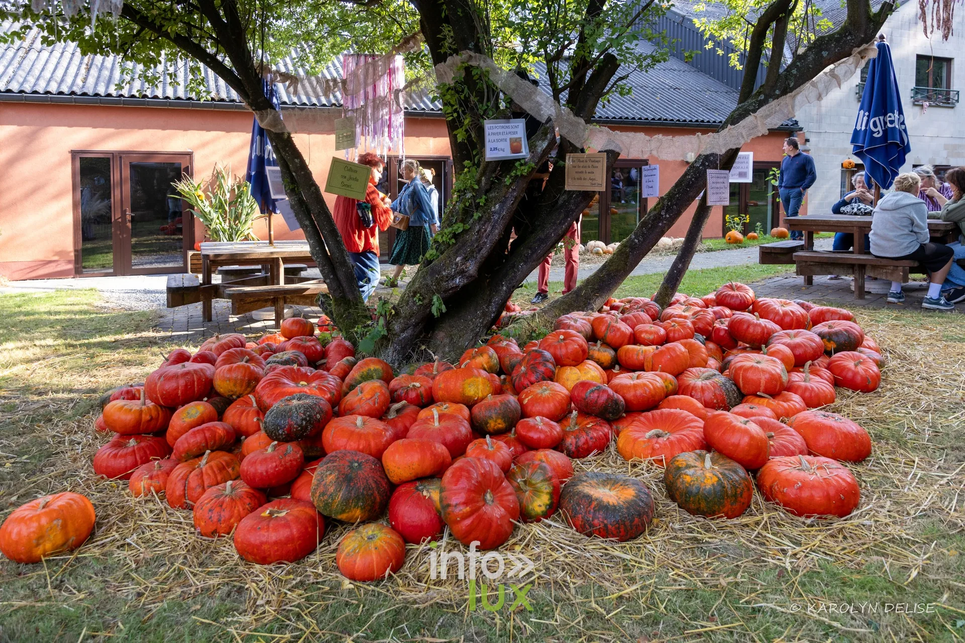 Les Potirons d’Émeraude à Baulers en 2026, photo 41