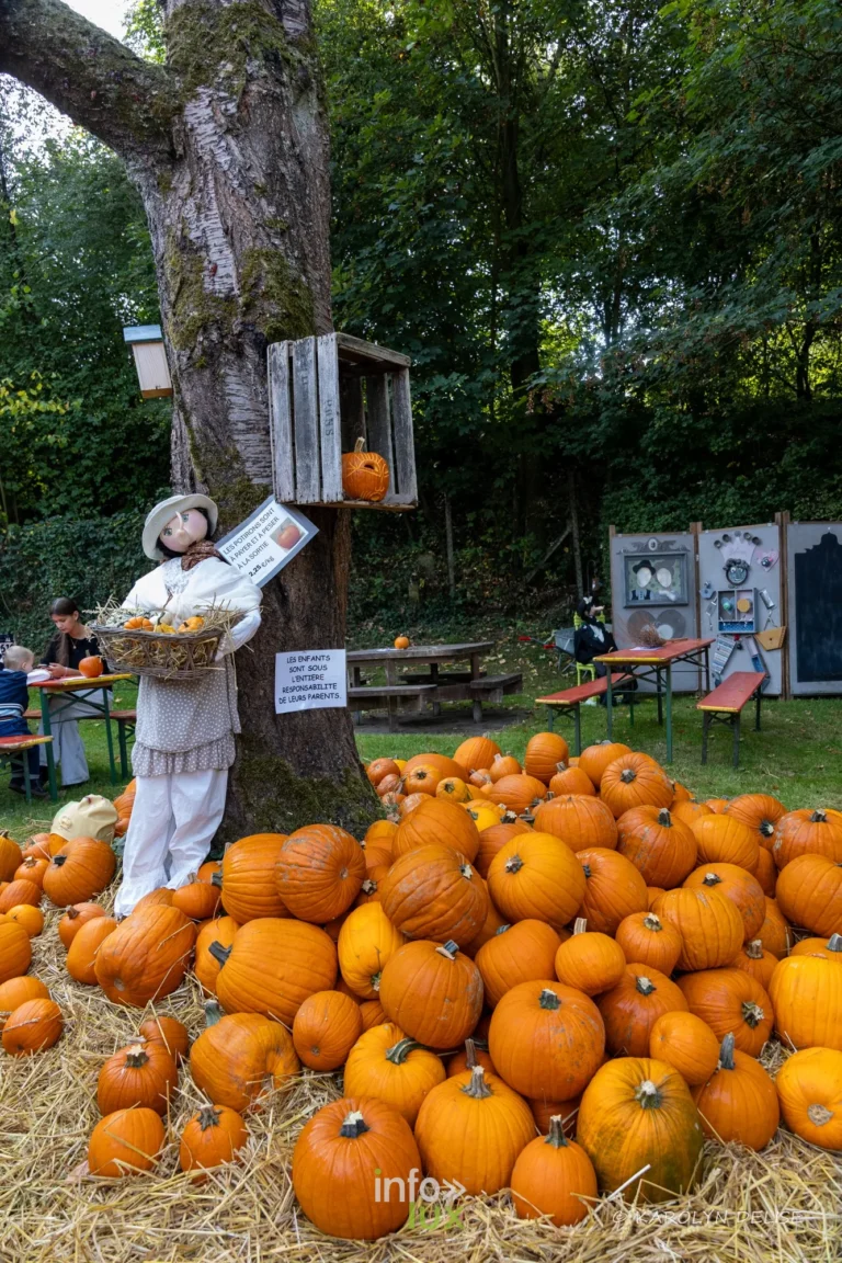 Un tas de potirons orange au pied d’un arbre, à côté d’un épouvantail