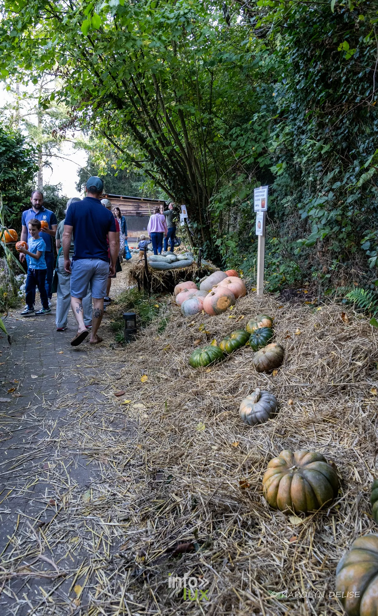 Les Potirons d’Émeraude à Baulers en 2026, photo 64