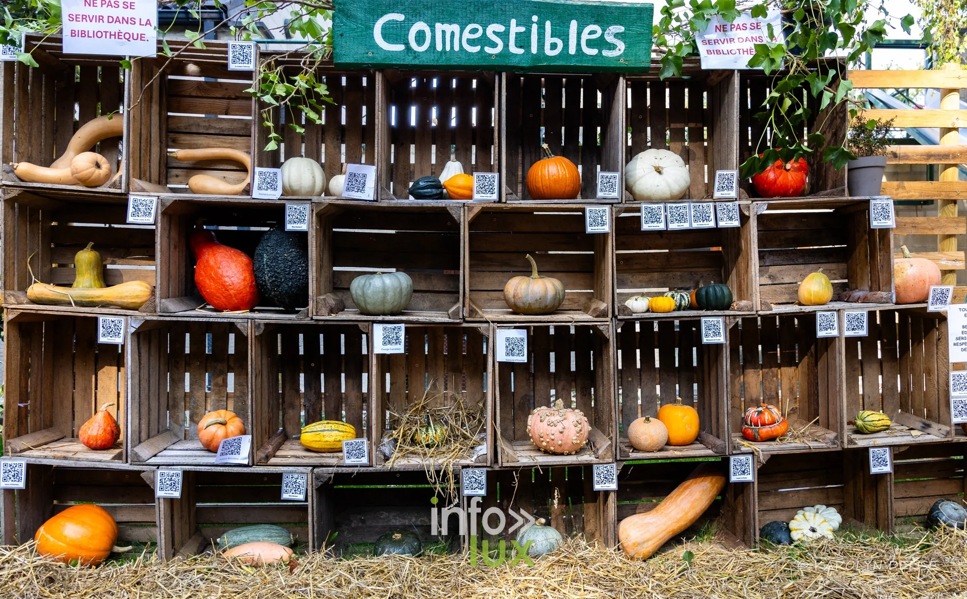 Des caisses en bois remplies de courges sous le panneau Comestibles