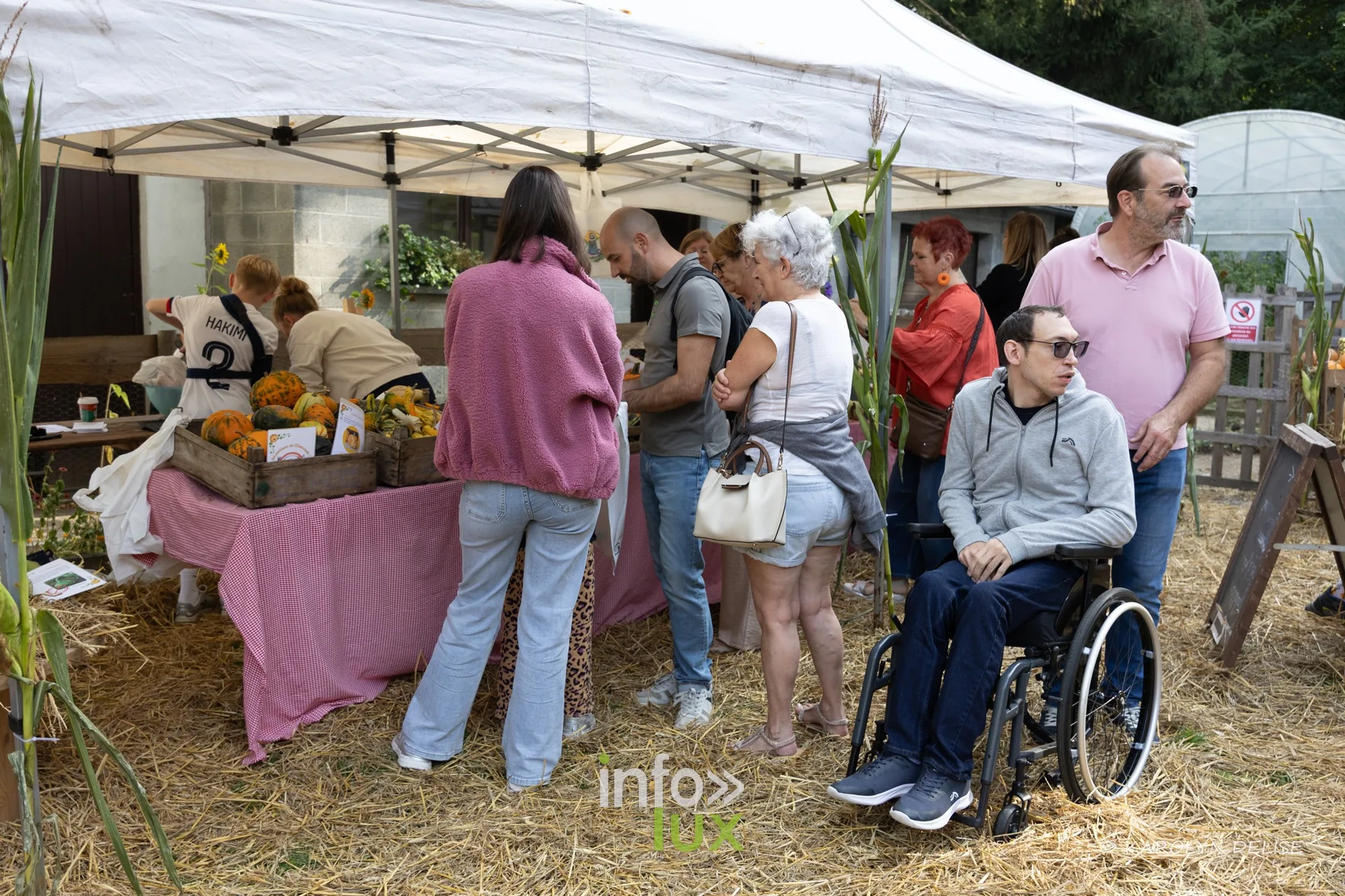 Des visiteurs choisissent des courges sous une tonnelle
