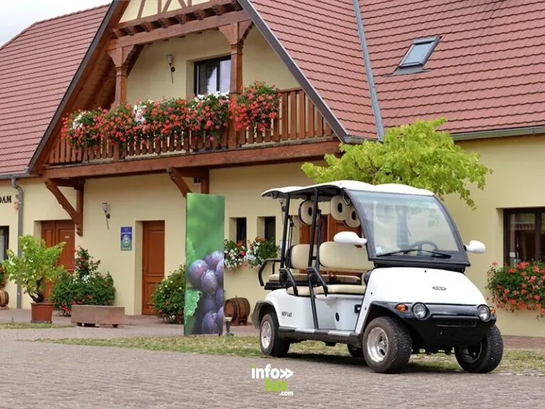 Ammerschwihr > Balade > Promenade dans les vignes en véhicule électrique