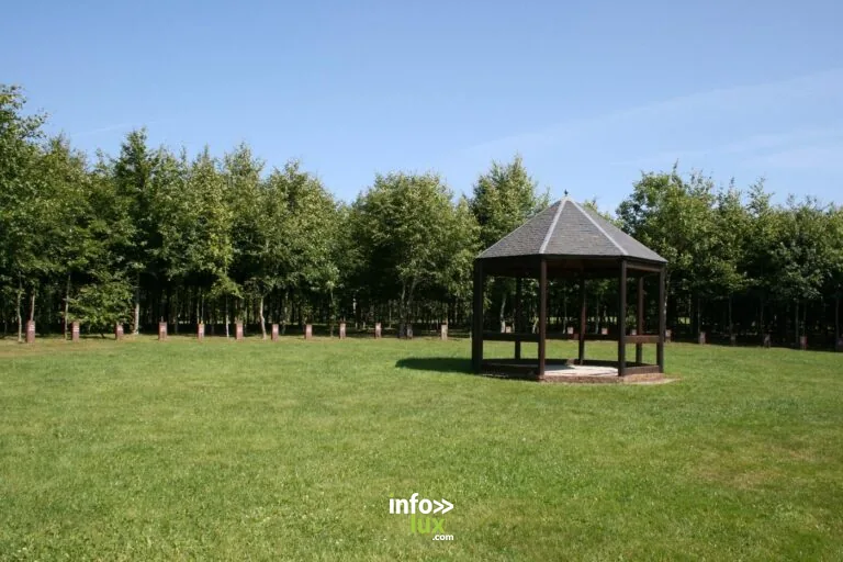 Promenade du Bois de la Paix à Bastogne : balade en forêt