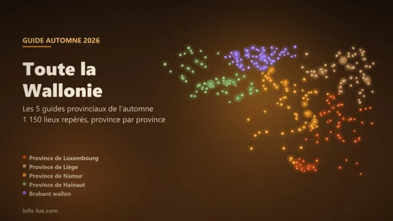 Carte de l’automne en Wallonie : les cinq provinces