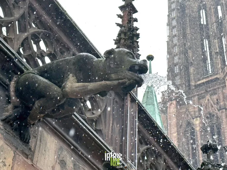 Strasbourg > Sorties & Découvertes > Regards croisés sur le grès de la cathédrale de Strasbourg