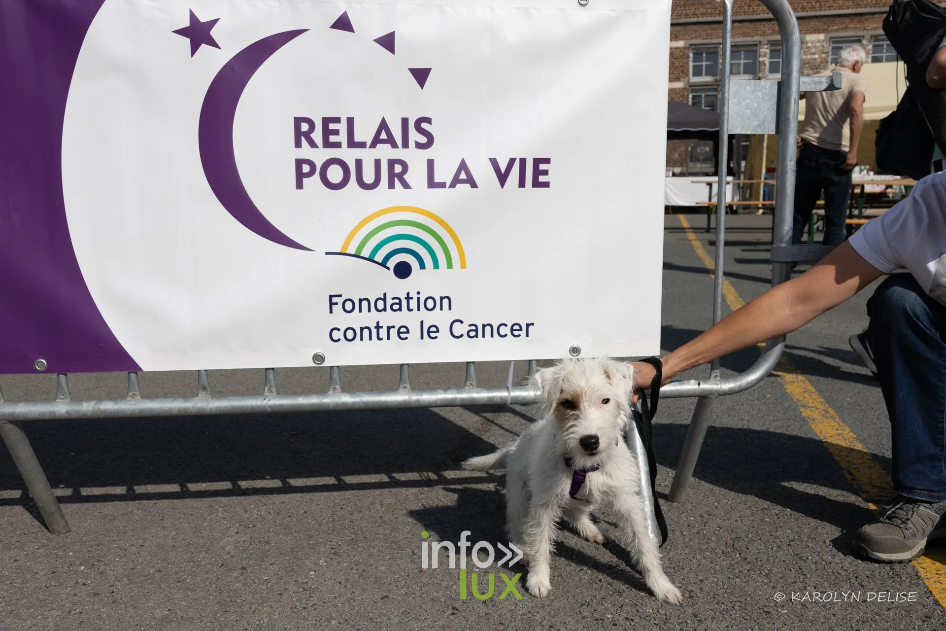 Bâche « Relais pour la Vie – Fondation contre le Cancer » et un chien, Relais pour la Vie de Nivelles 2026