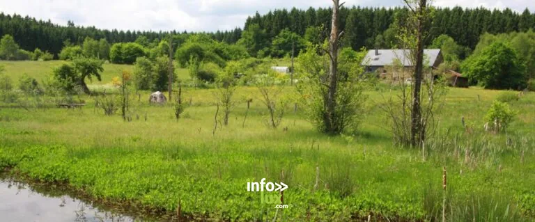 La réserve naturelle du Bec du Feyi à Houffalize