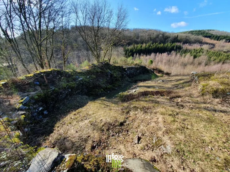 Les ruines du château de Liresse à Rochehaut : un donjon d’origine inconnue, cité dès le XIe siècle, et la légende du veau d’or