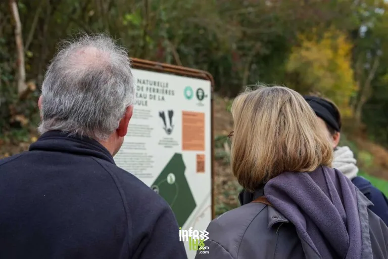 Sentier didactique dans le Bois de Ferrières à Héron : balade en forêt