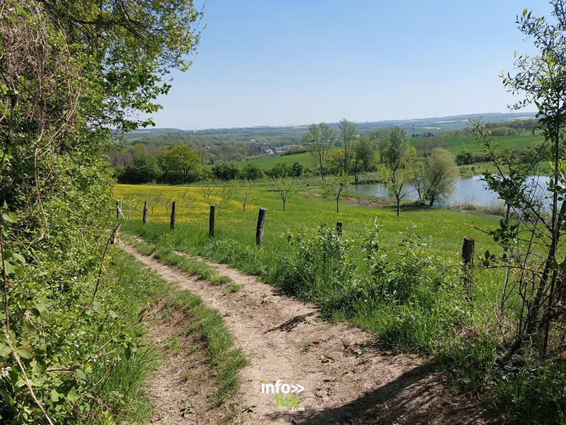 Sentier linéaire Jean-Marie Pelt Sentier linéaire Jean-Marie Pelt à Rodemack, randonnée en Moselle
