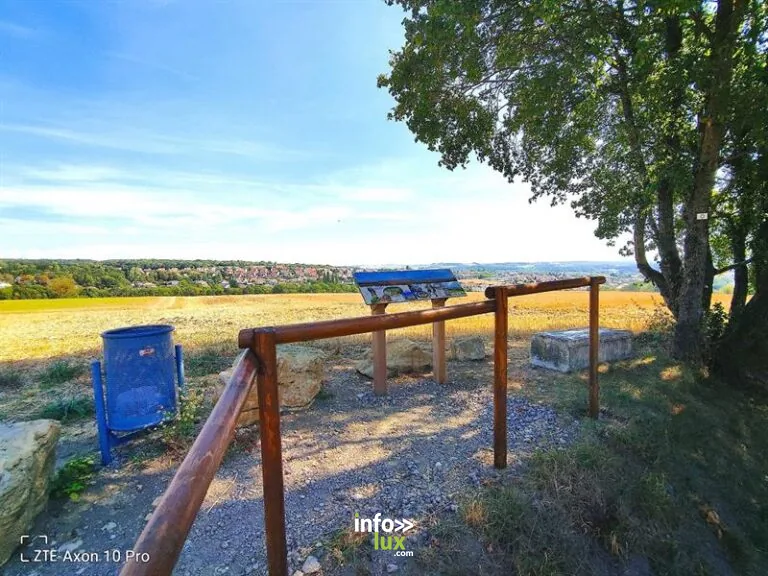 Sentier pédagogique du Berfang à Folschviller : randonnée