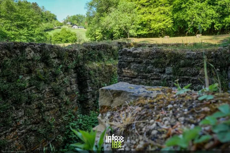 Le site gallo-romain de Chameleux : le relais de la chaussée Reims-Trèves, du Ier au Ve siècle, entre Florenville et Orval