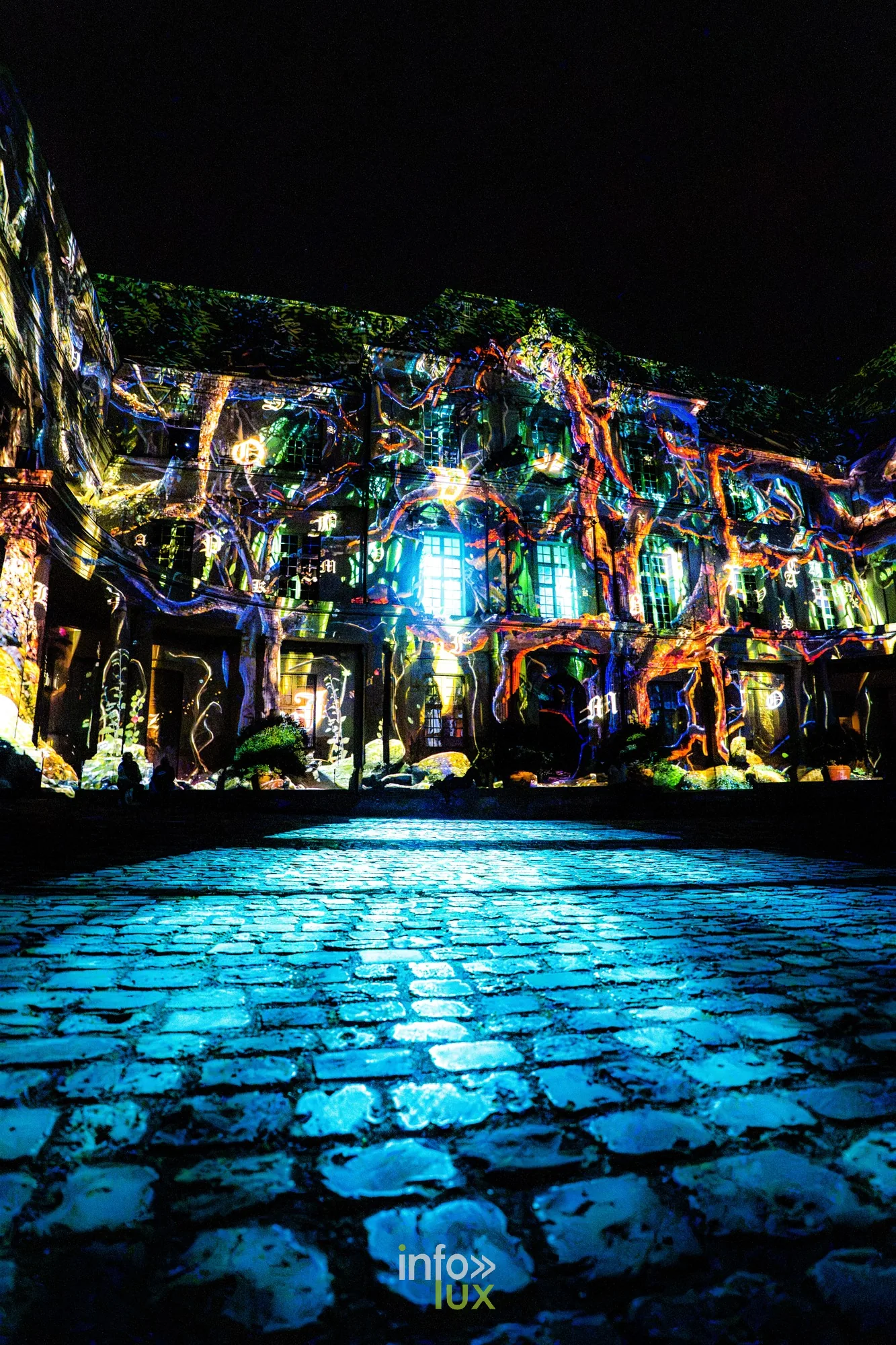 Racines lumineuses sur la façade du château de Blois et pavés bleus