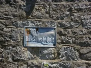 Sous le Bois à Erezée : balade en forêt — Erezée Sous le Bois à Erezée : balade en forêt — Erezée