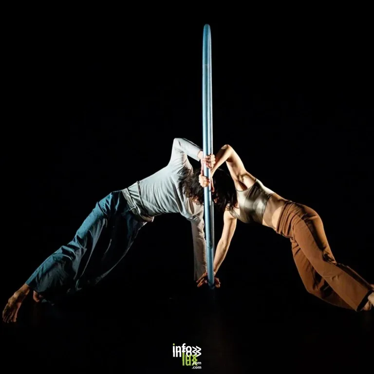 Marche-en-Famenne > Spectacle > Spectacle: In différence