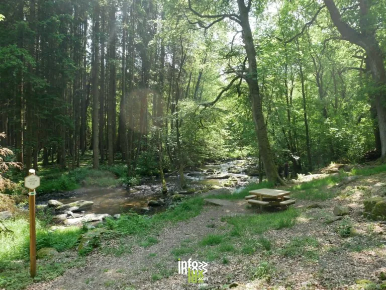 Table de pique-nique de la Roche du Cui à Libin