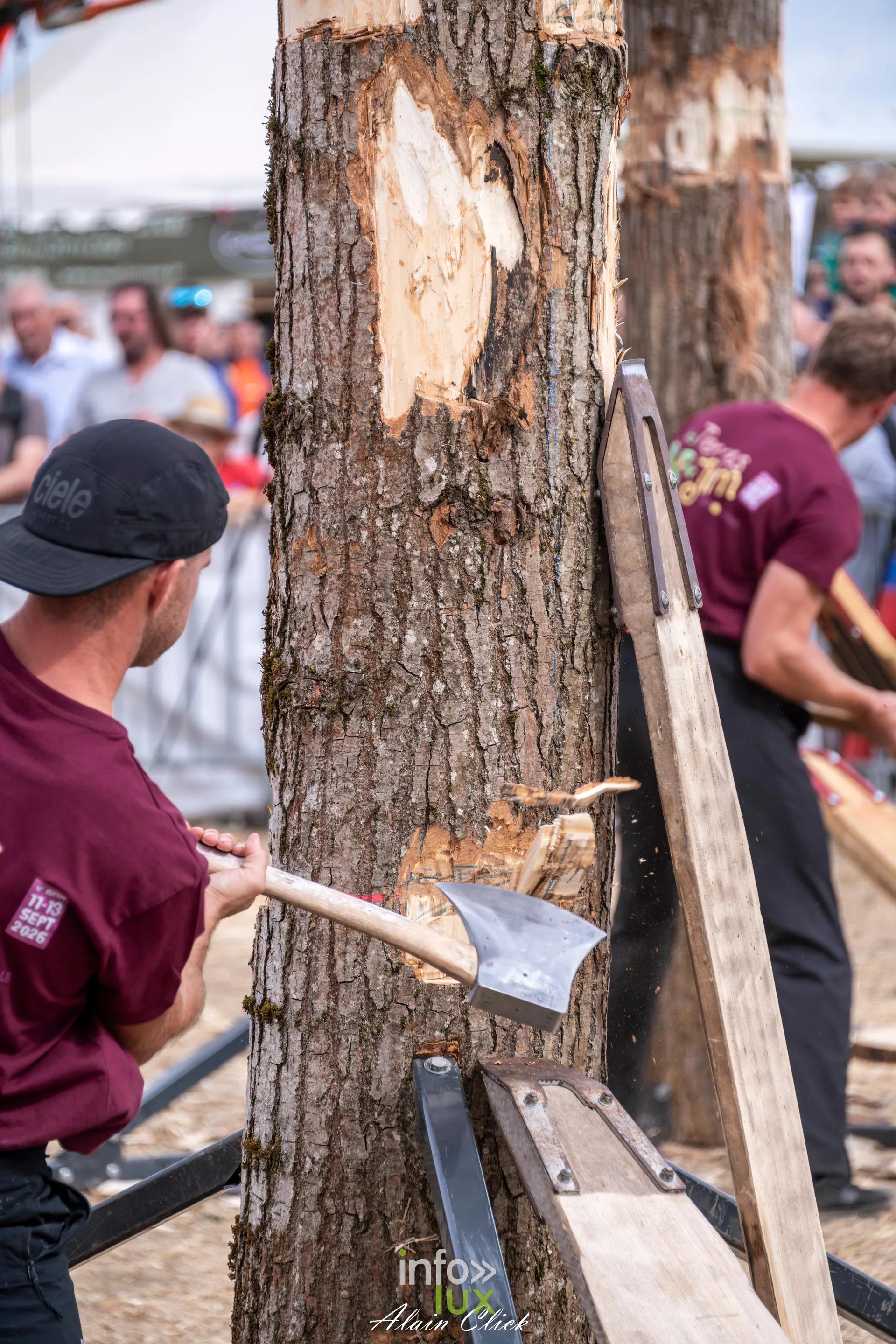 Bucheron sportif fixant sa planche dans l entaille d un tronc