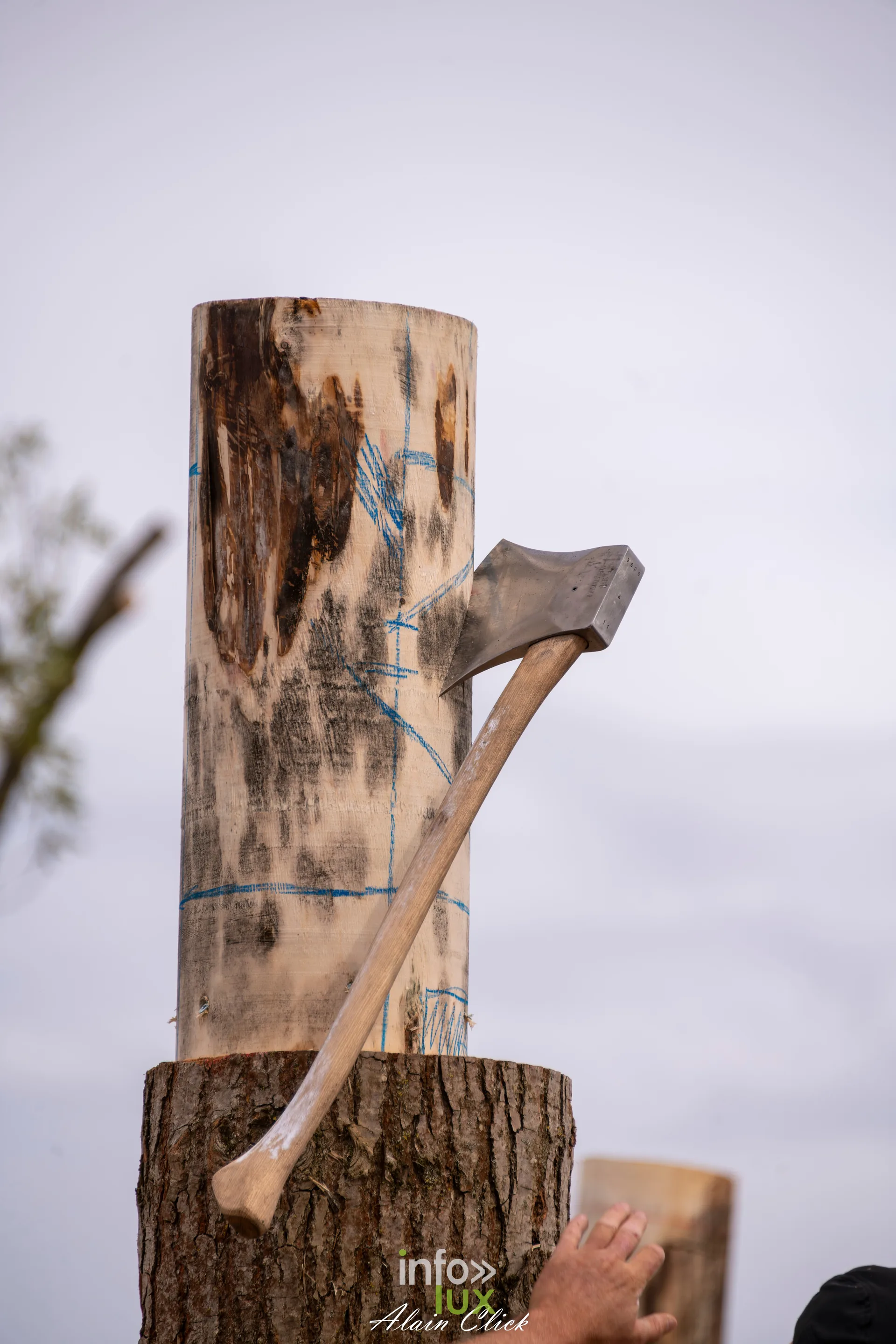 Hache plantee dans un tronc de bucheronnage sportif aux Terres de Jim