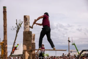Terres de Jim 2026 à Metz-Magny : 100 000 visiteurs pour la plus grande fête agricole d’Europe (photos)
