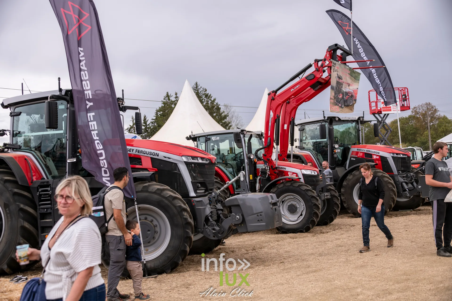 Tracteurs Massey Ferguson rouges alignes aux Terres de Jim