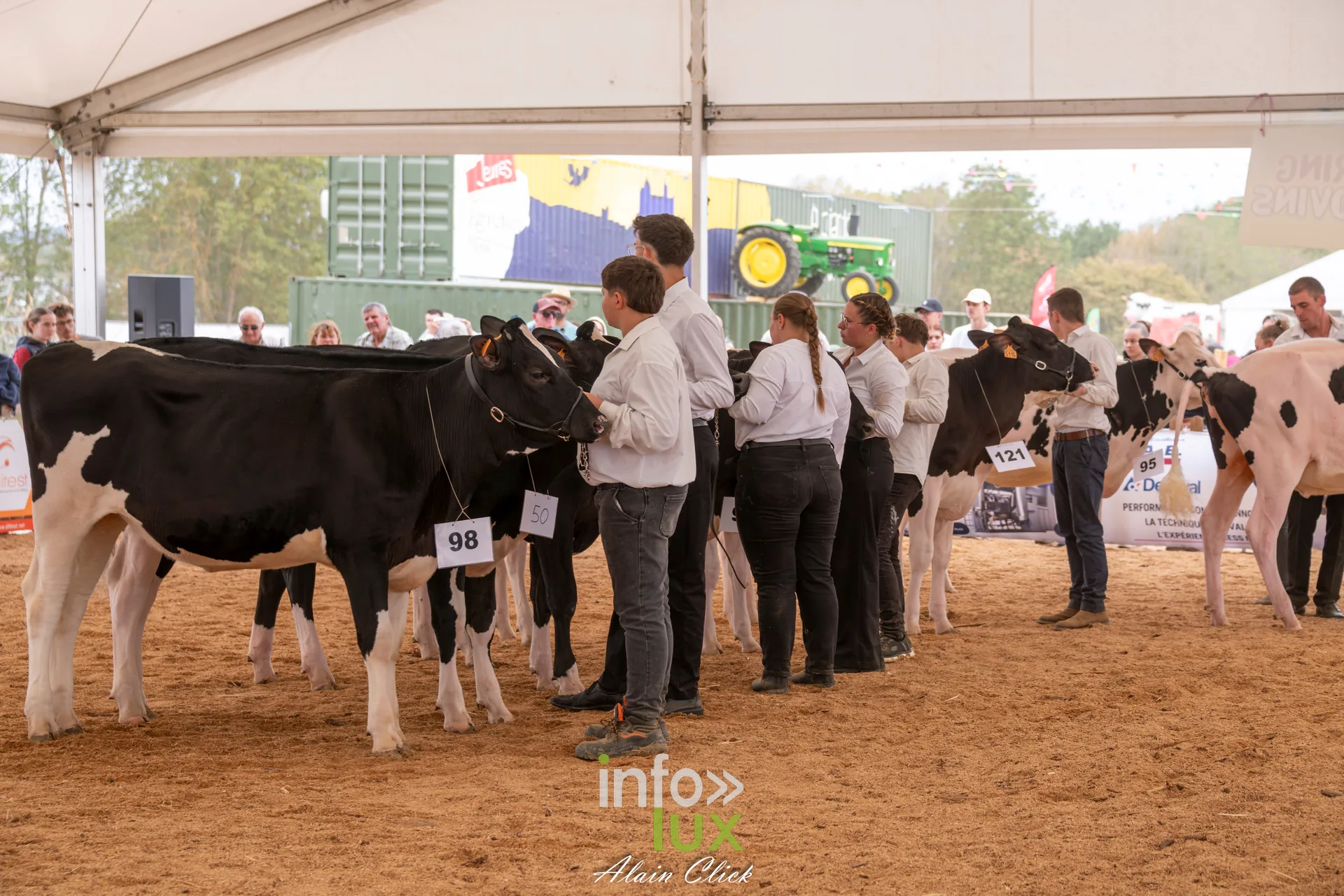 Concours d elevage de vaches Prim Holstein presentees par leurs eleveurs aux Terres de Jim 2026