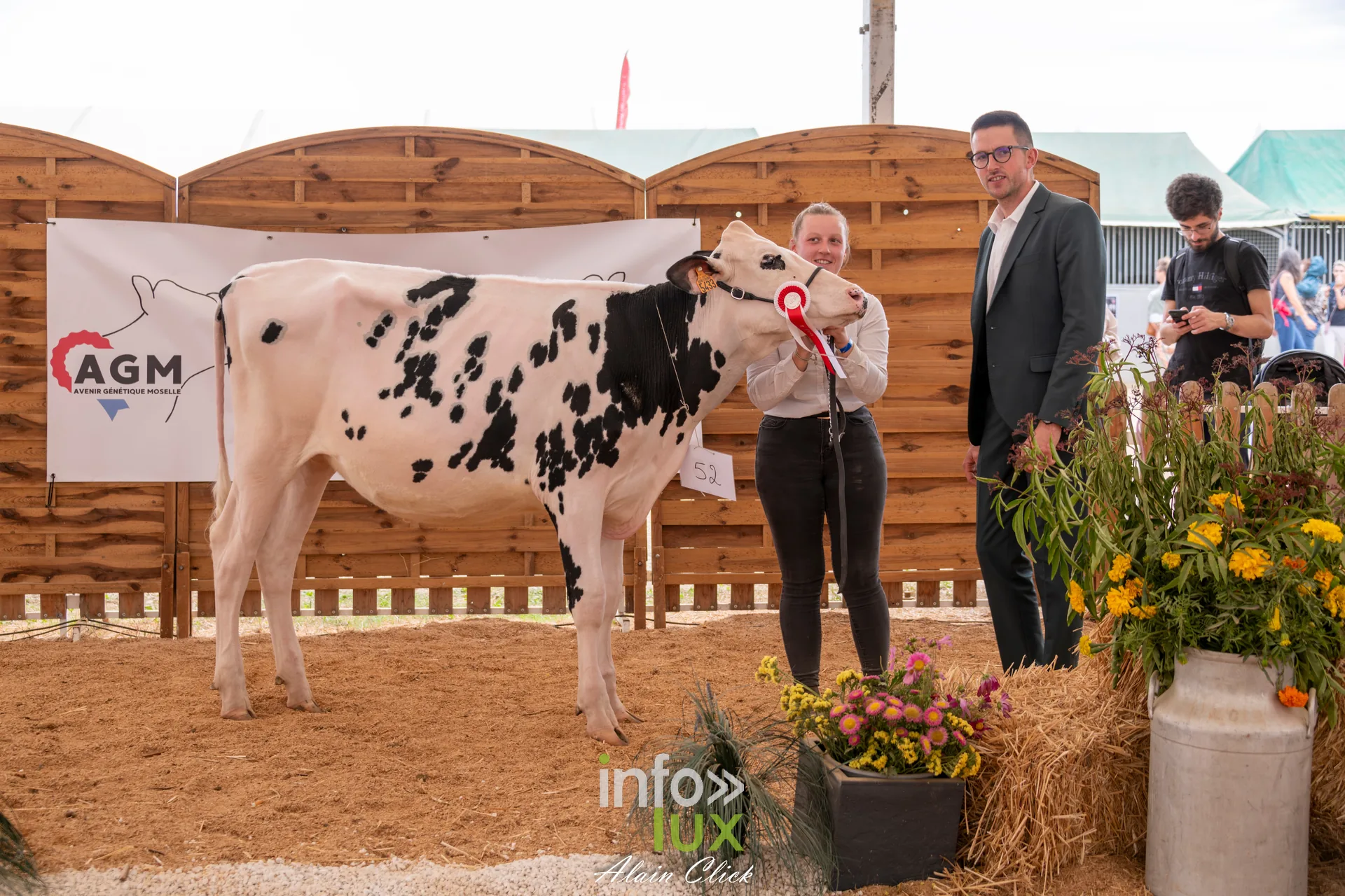 Vache Prim Holstein primee devant le panneau AGM lors du concours d elevage