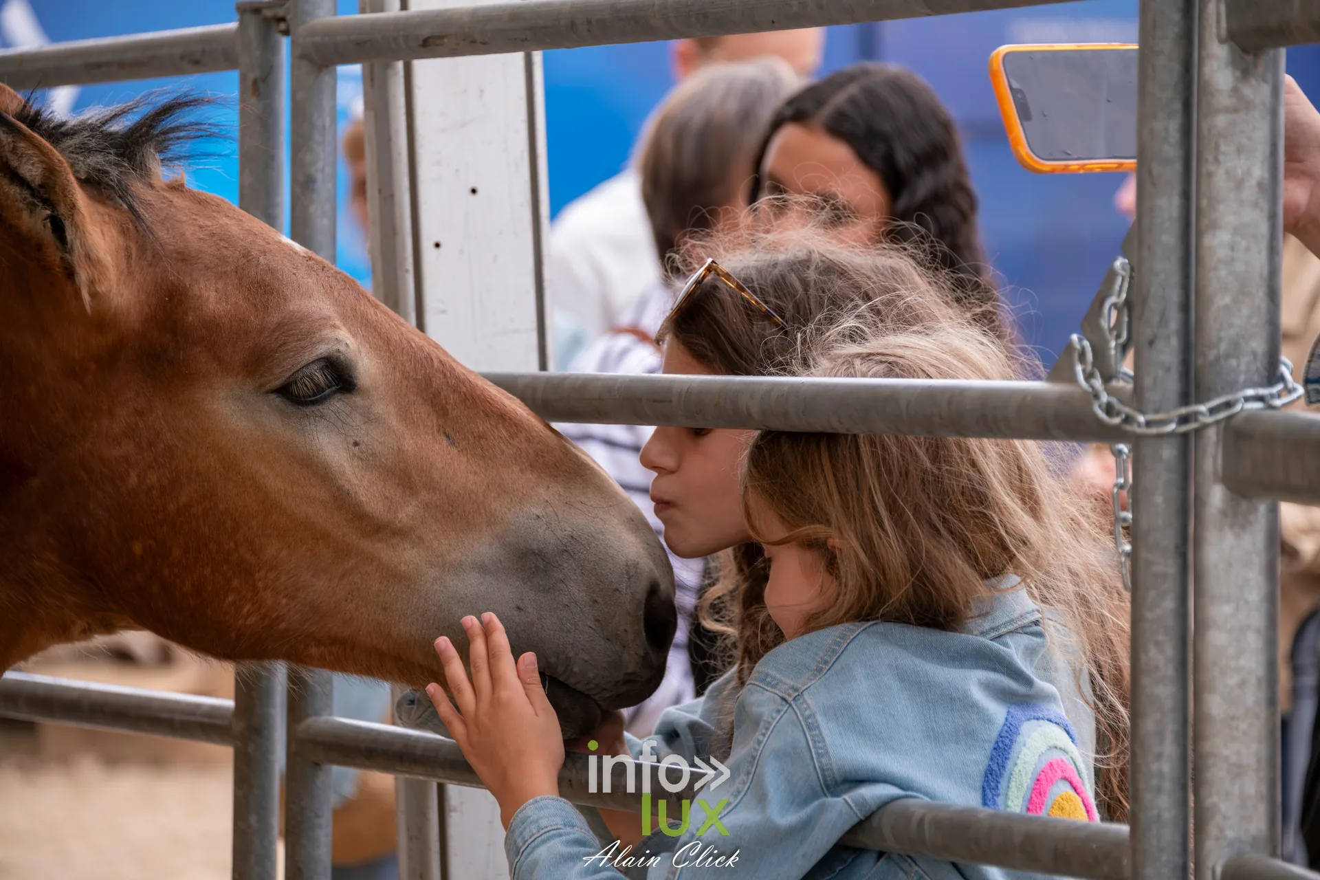 Enfant caressant le museau d un cheval de trait aux Terres de Jim