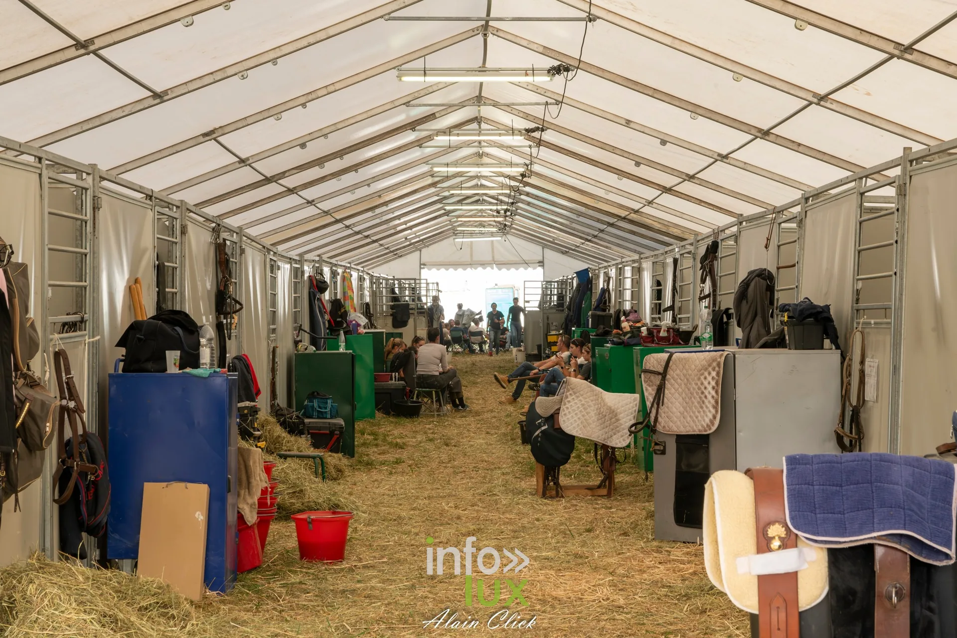 7e biennale équestre au château de Thillombois (Meuse) : la Garde républicaine, voltige, attelages et numéros de dressage
