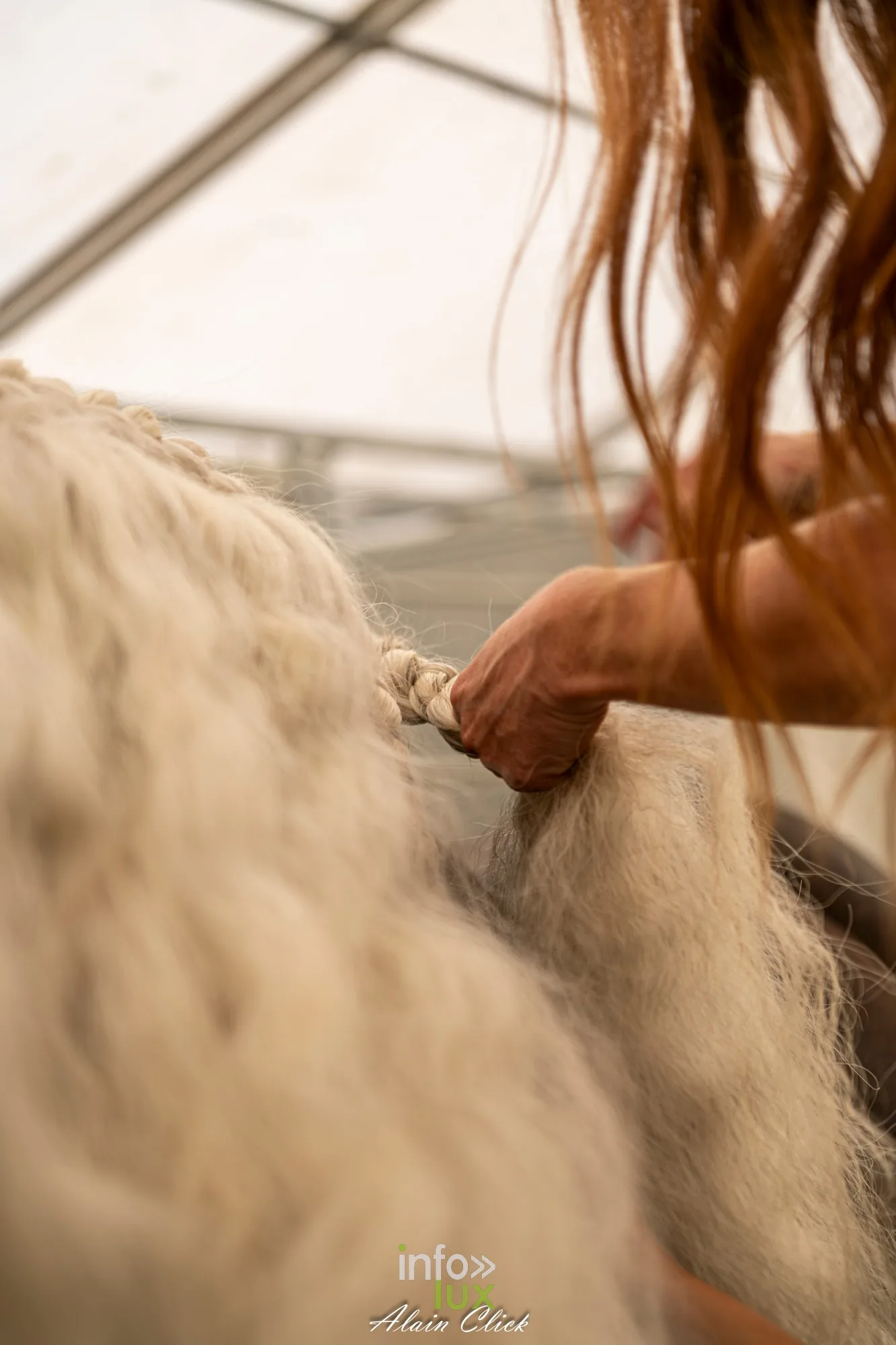 7e biennale équestre au château de Thillombois (Meuse) : la Garde républicaine, voltige, attelages et numéros de dressage