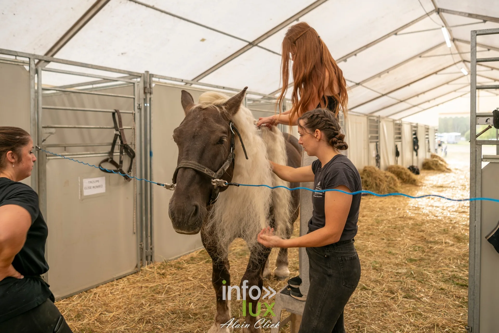 7e biennale équestre au château de Thillombois (Meuse) : la Garde républicaine, voltige, attelages et numéros de dressage
