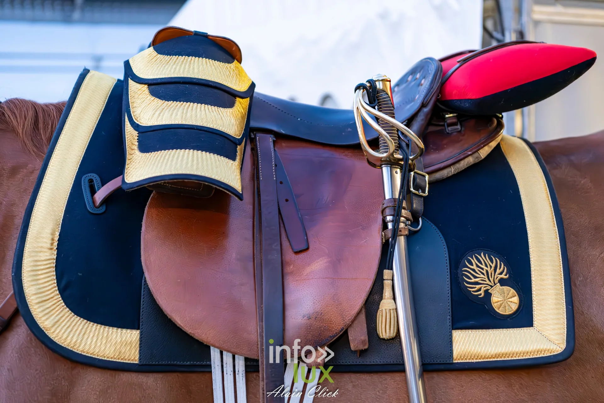 7e biennale équestre au château de Thillombois (Meuse) : la Garde républicaine, voltige, attelages et numéros de dressage
