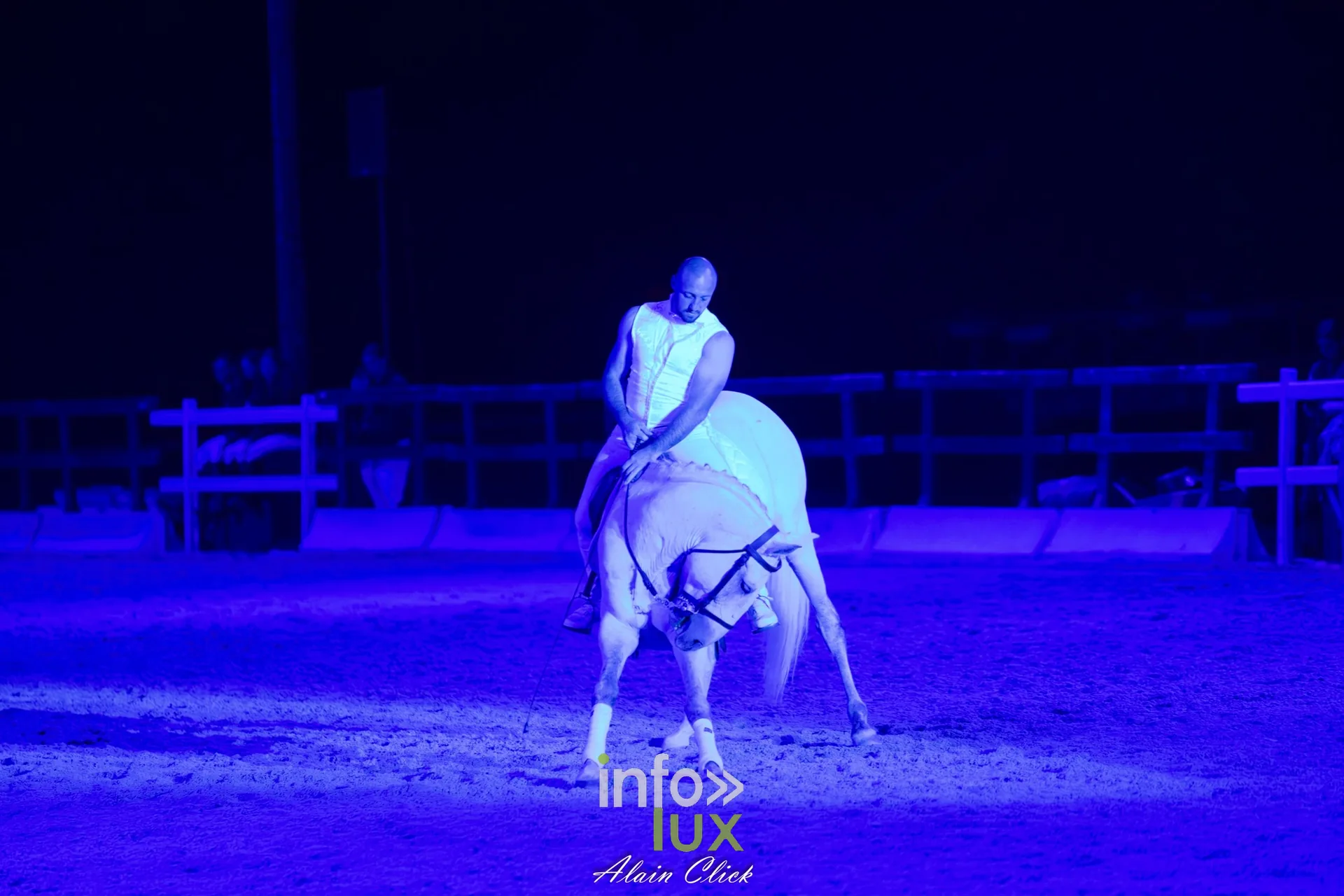 7e biennale équestre au château de Thillombois (Meuse) : la Garde républicaine, voltige, attelages et numéros de dressage