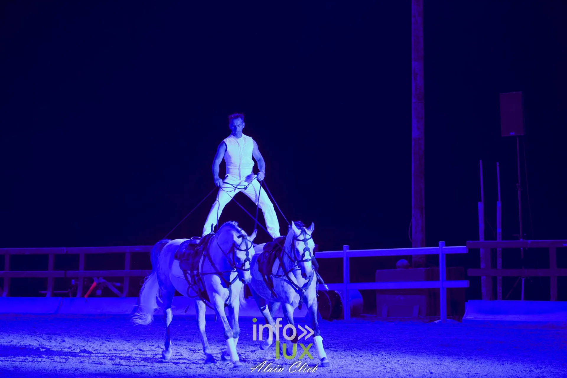 7e biennale équestre au château de Thillombois (Meuse) : la Garde républicaine, voltige, attelages et numéros de dressage