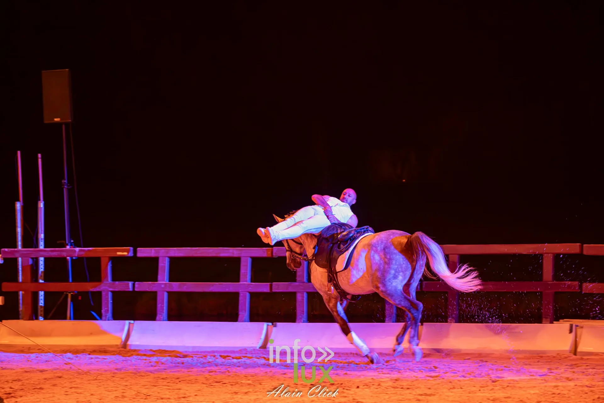 7e biennale équestre au château de Thillombois (Meuse) : la Garde républicaine, voltige, attelages et numéros de dressage