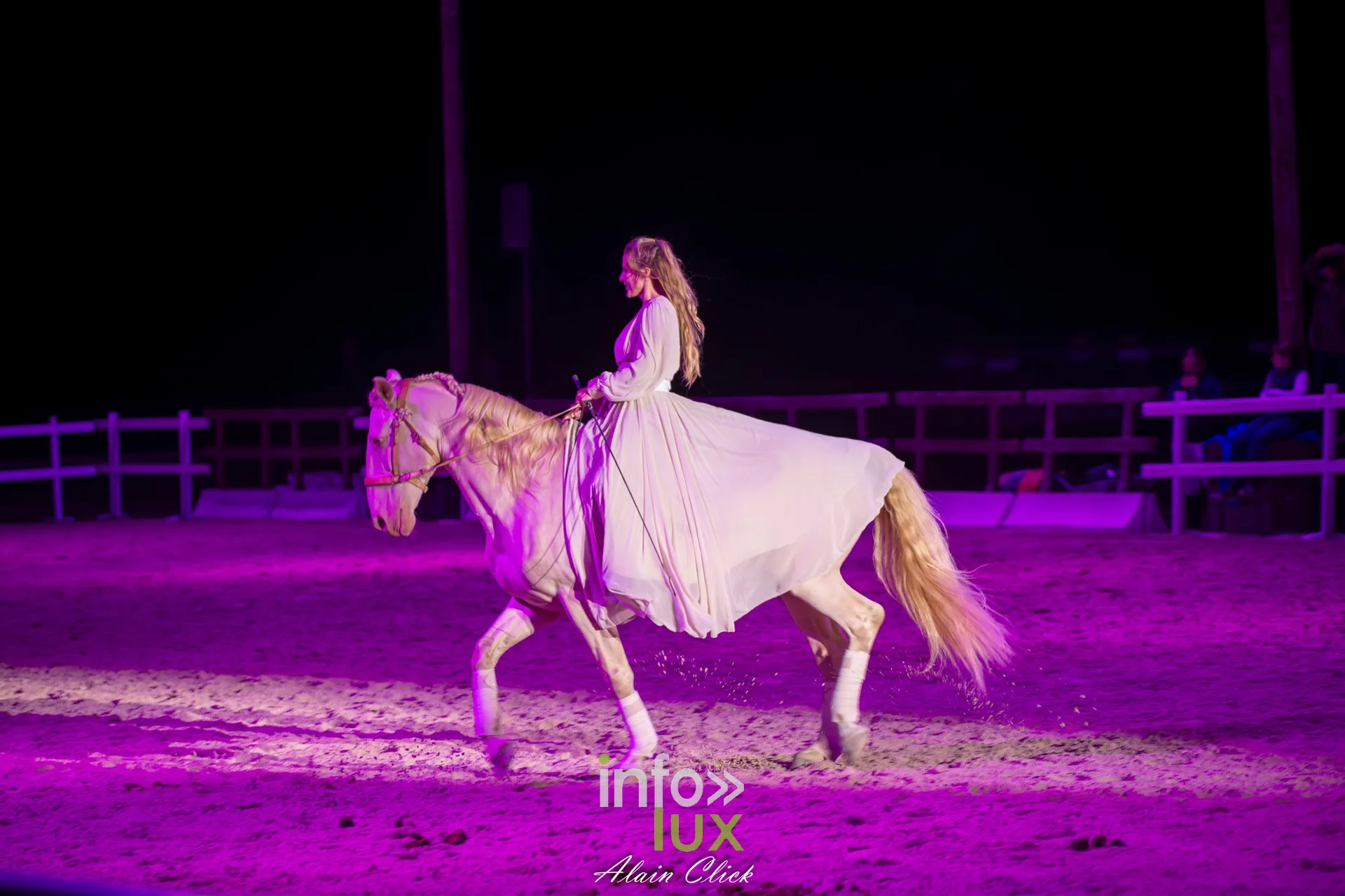 7e biennale équestre au château de Thillombois (Meuse) : la Garde républicaine, voltige, attelages et numéros de dressage
