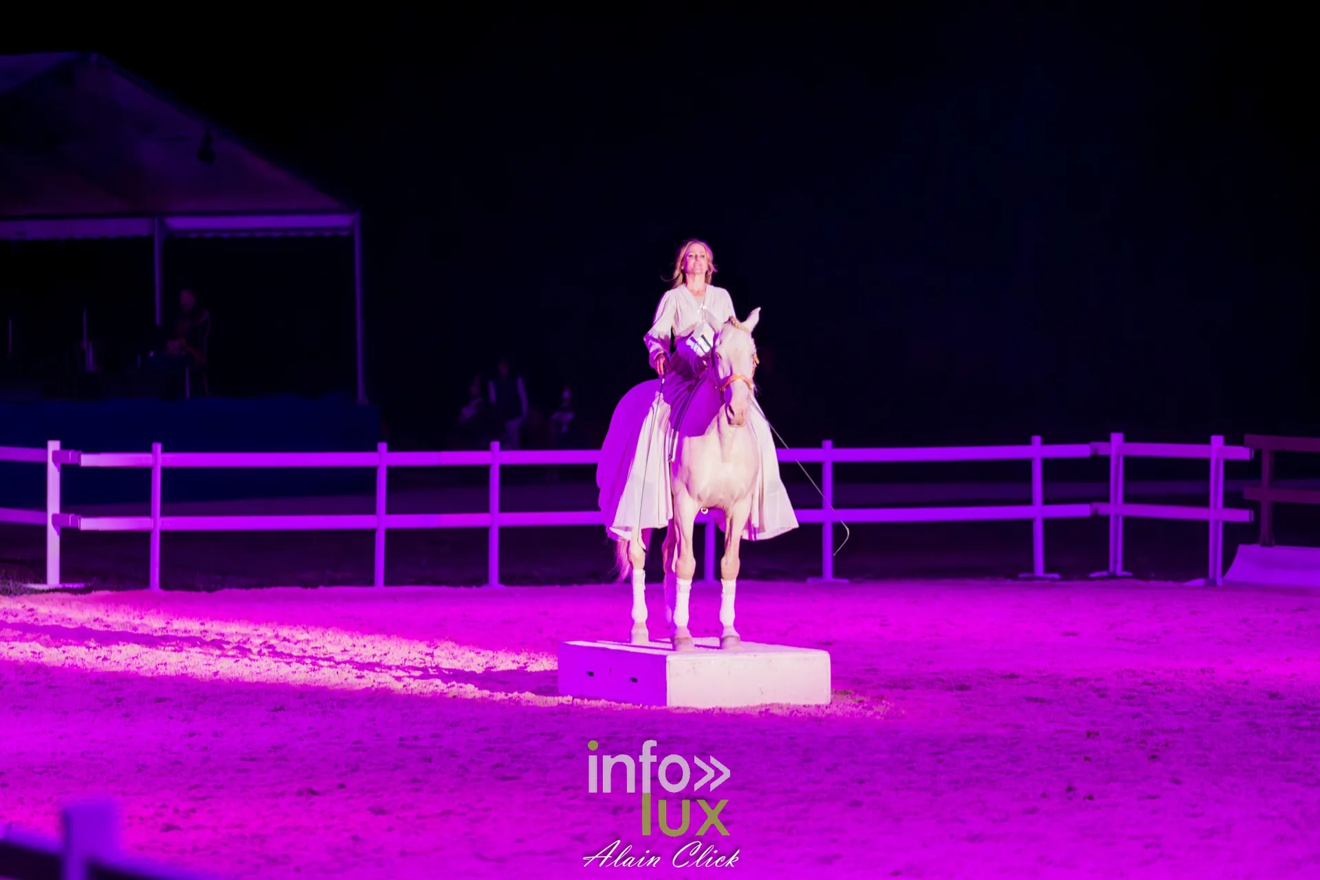 7e biennale équestre au château de Thillombois (Meuse) : la Garde républicaine, voltige, attelages et numéros de dressage