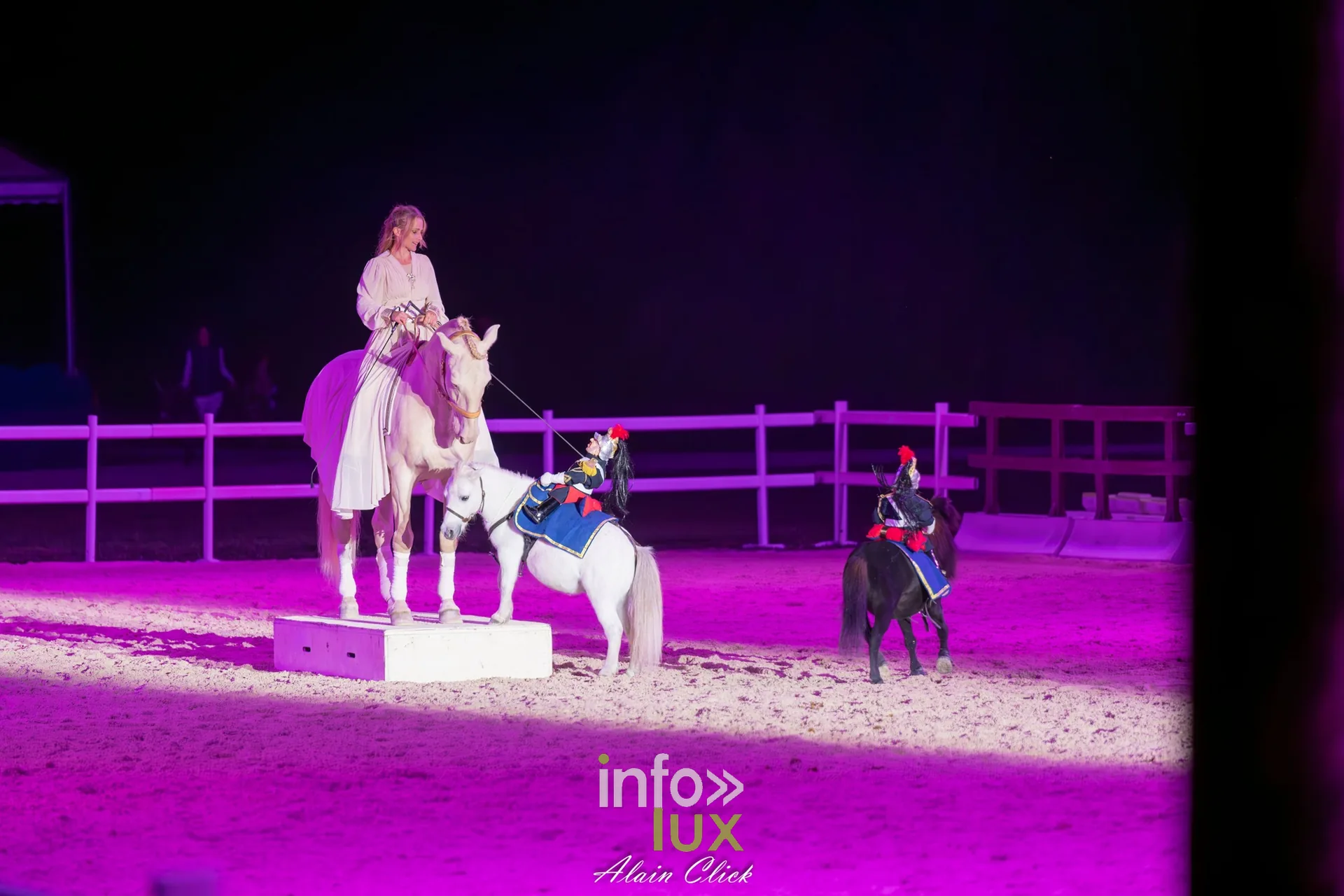 7e biennale équestre au château de Thillombois (Meuse) : la Garde républicaine, voltige, attelages et numéros de dressage