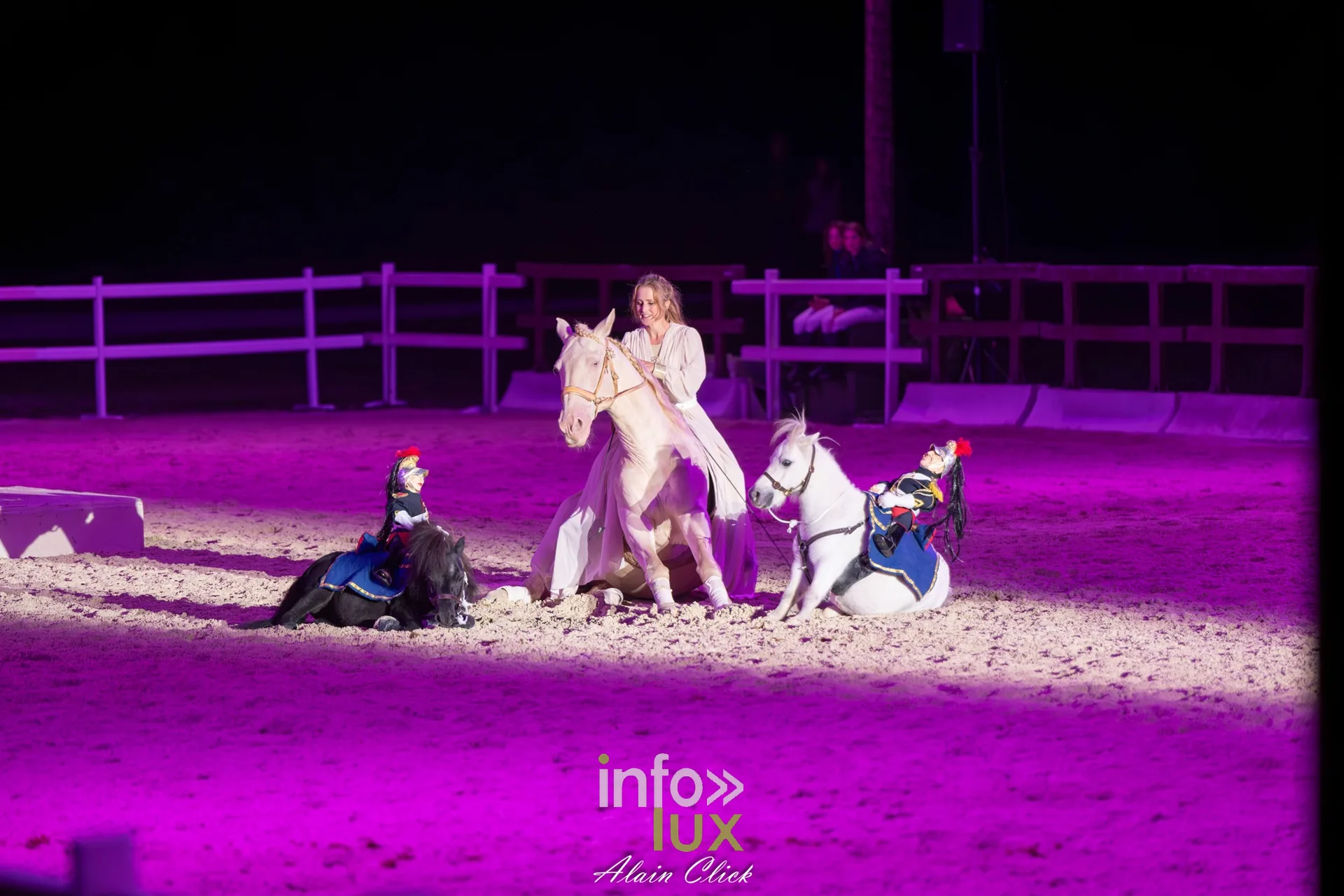 7e biennale équestre au château de Thillombois (Meuse) : la Garde républicaine, voltige, attelages et numéros de dressage