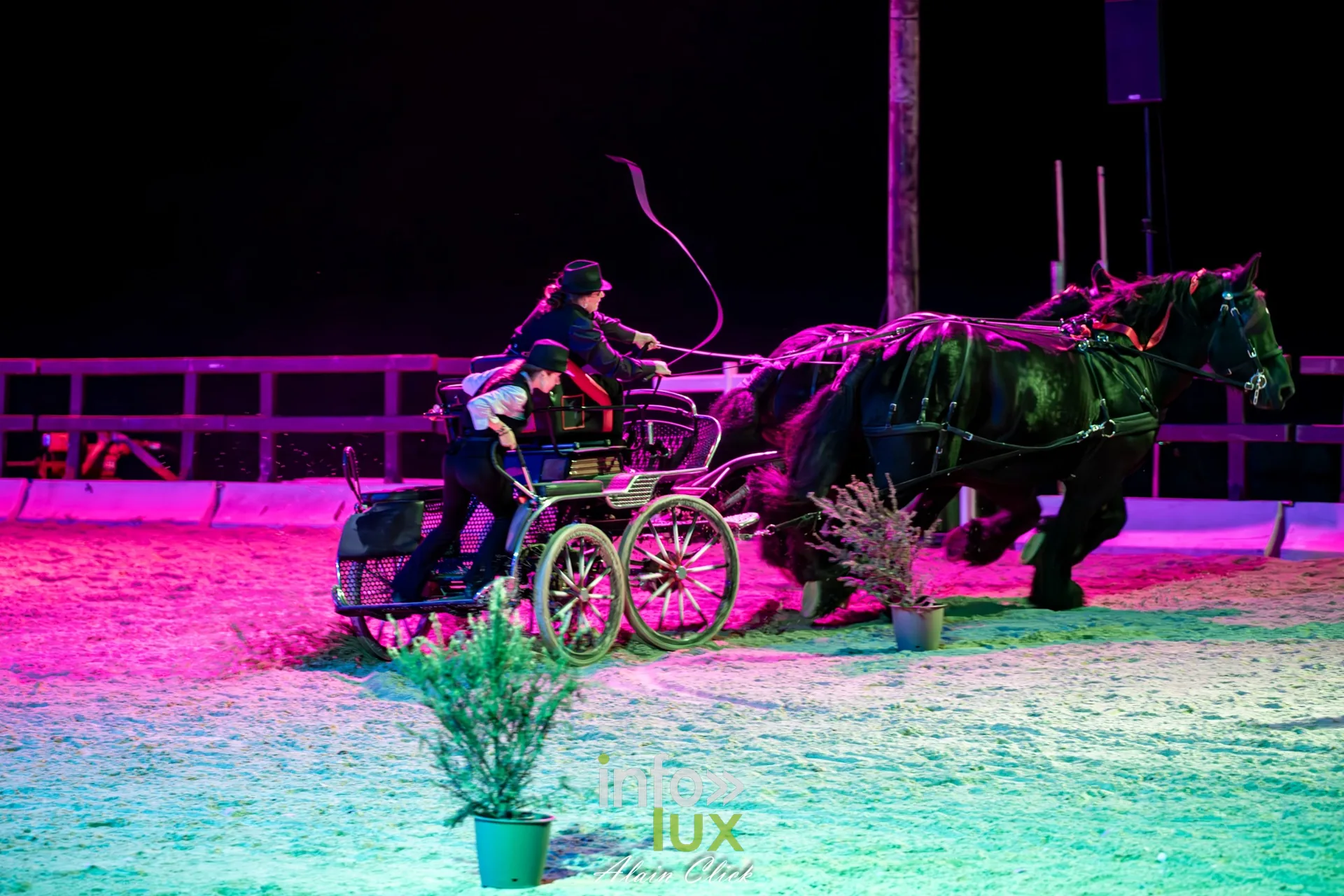 7e biennale équestre au château de Thillombois (Meuse) : la Garde républicaine, voltige, attelages et numéros de dressage