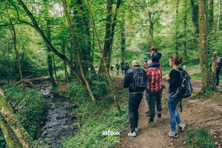 Totemus – Entre histoire et légendes au coeur du Bois du Prince à Charleroi