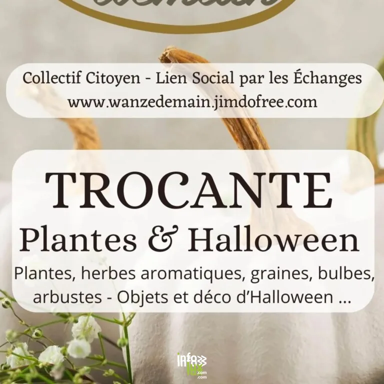 Trocante de plantes et d’objets d’Halloween à Wanze, Halloween 2026