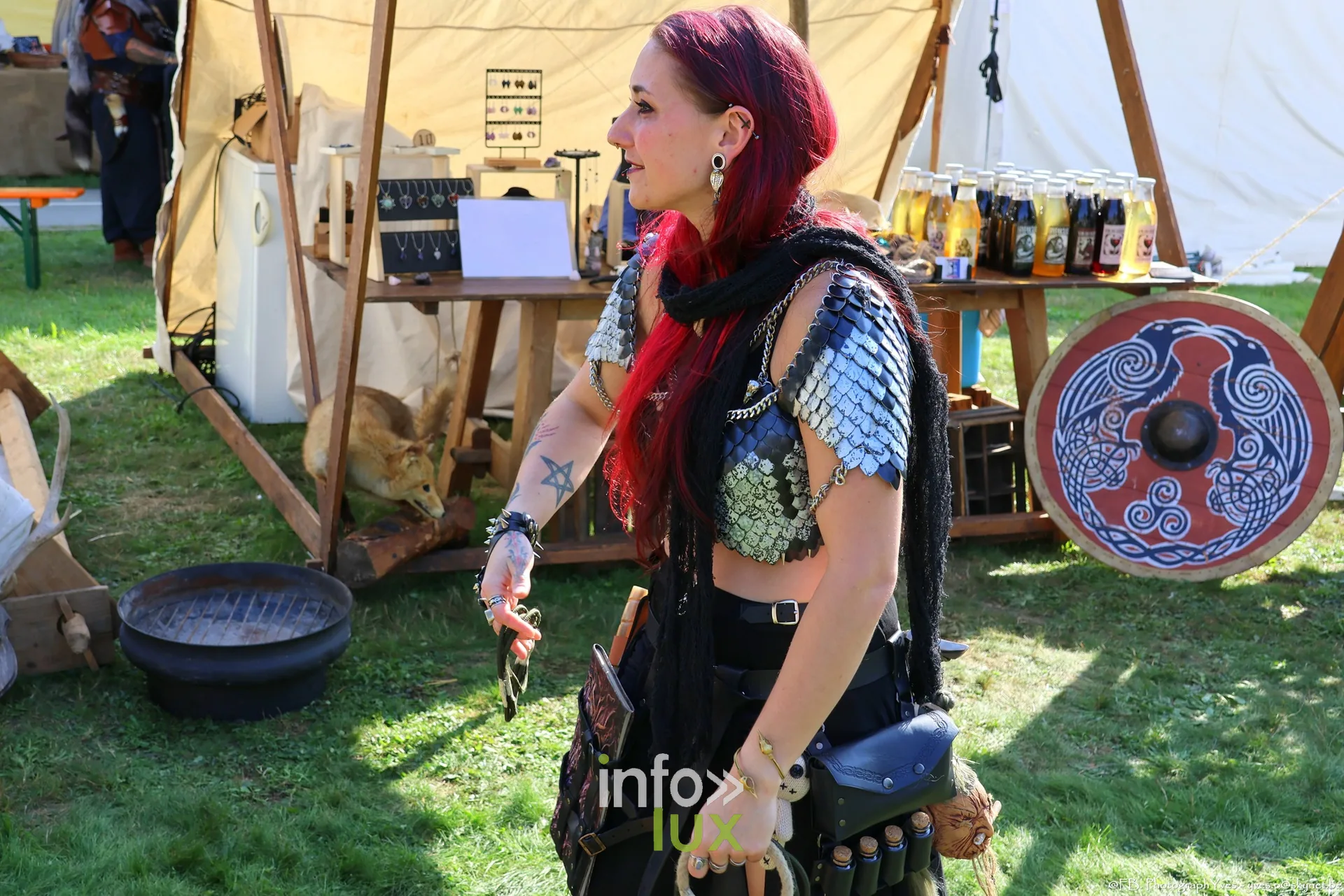 Guerrière en cotte de mailles devant un bouclier peint, Valhalla Days 2026 à Ciney