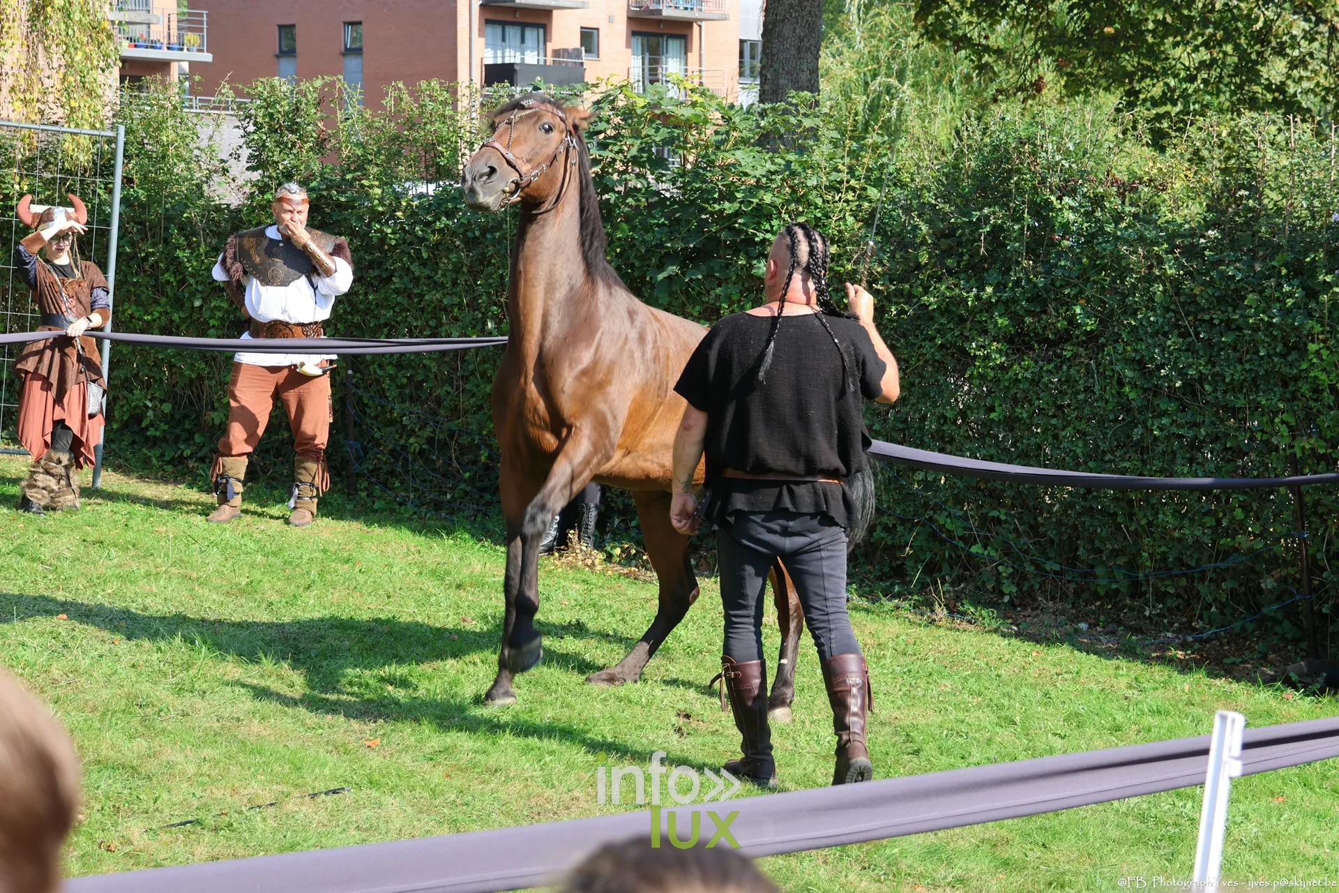 Spectacle équestre : un cheval se cabre dans le paddock, Valhalla Days 2026 à Ciney
