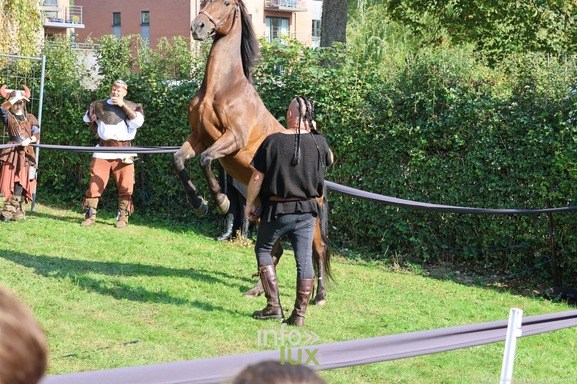 Cheval cabré devant le public lors du spectacle équestre, Valhalla Days 2026
